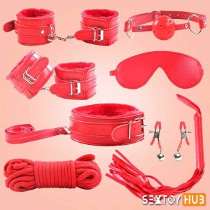 BDSM SEX KIT Bracelet Whip Goggles Feather Mouth Ball Gag BDSM-001