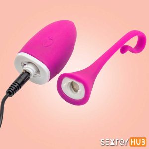 REALOV IRENA I I-FC Smartphone Remote Control Vibrator SRV-001